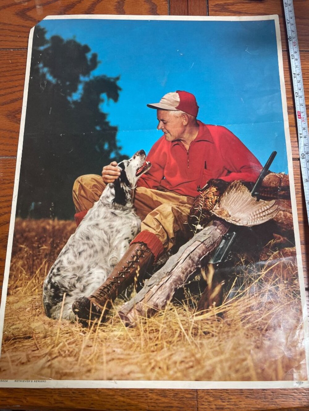 Vintage Retrievers Reward Calendar Print 8424 Hunter English Setter Pheasants